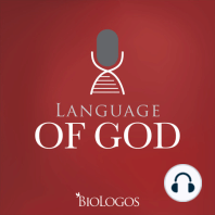 16. Fossils | A Window to God’s Creation