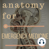 012 – Posterior Cerebral Artery