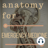 027: Basic Anatomy of Abdomen and Pelvic Trauma