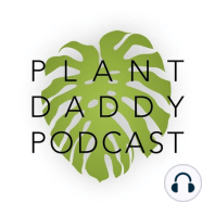 Episode 38: Sensitive Plant, Mimosa pudica Plant Profile