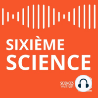 Le parasite de la toxo est-il plus dangereux qu'on le pense?