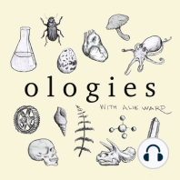 Smologies #1: THE MOON with Selenologist Raquel Nuno