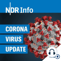 Coronavirus Kompakt: Die Infektion