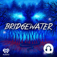 Introducing Bridgewater