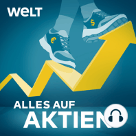 Burry vs. Wood und lukrative Ladesäulen-Aktien