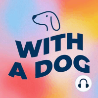Like Netflix but for Dogs w/ DOGTV.com