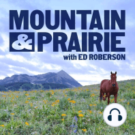 Matt Skoglund - Adventures in Bison Ranching
