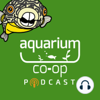 Ep. 86 - Rosario Lacorte on Fish Food, Peat Moss, and Breeding Tetras