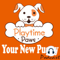 YNP #070: What is Raw Feeding?: Puppy Edition