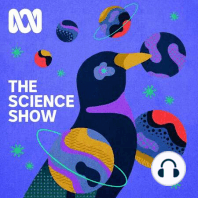 Science Extra: malaria vax breakthrough, surviving snake bite and, of course, COVID-19