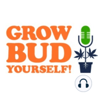 Grow Bud Yourself Episode 3