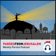 5780 — Parshat Naso: Uncovering the Sotah