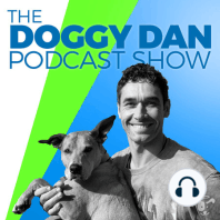 Show 16: Real Talk and Tears, with the Taiwanese Animal Rescue Superhero, Sean McCormack