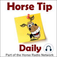 Horse Tip Daily #4 – Jessica Phoenix on Riding the Ditch for the First Time