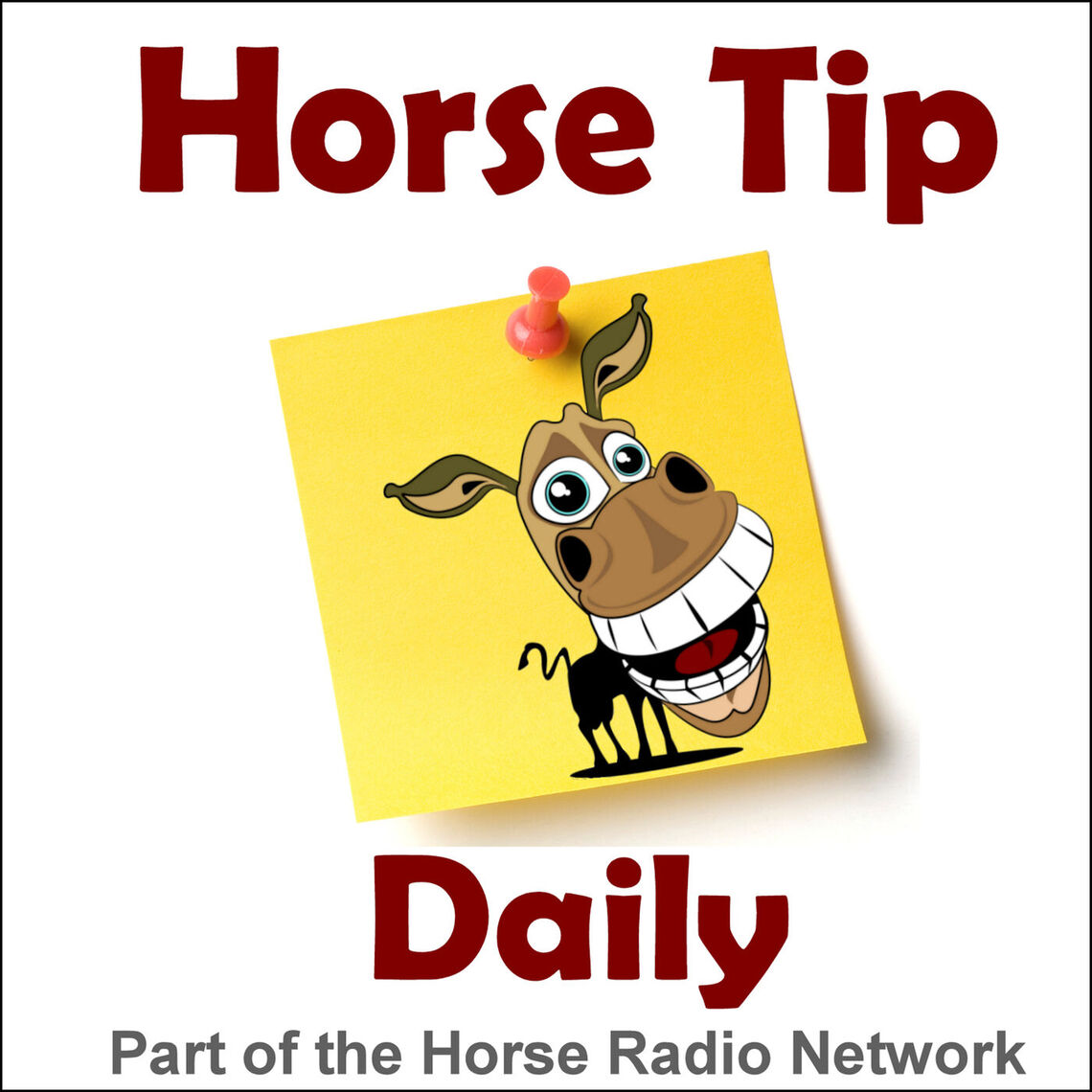 Horse Tip Daily 486 by ECOGOLD Tom Scheve on Slant Load vs. Straight Load Trailers Horse