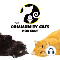 Talking to Cats with Jessica Evans, Cat Communicator and Founder of Feline Ascension