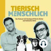 39 - Leinenaggression, Hundeklopapier & Goldschakale in Deutschland