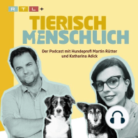 55 - Hundetraining aus der Sprühflasche, Maulkorb & der Deutsche Schäferhund