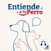 EP 3: ¿Mi perro se queda con hambre?