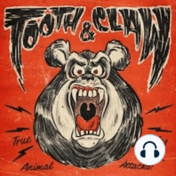 The Official Chimp Crazy Podcast: Episode One | Tooth & Claw: True ...