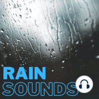 Rain Sounds For Sleeping & Studying - 1 Hour