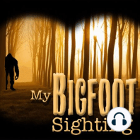 Be Careful Around the Sasquatch in that Area! - My Bigfoot Sighting Episode 19