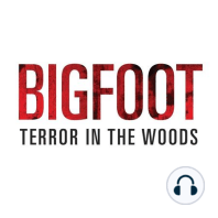 Bigfoot TIW 144:  Along came a spider, or at least a giant bigfoot that was crawling like a spider