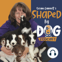 How To Teach A Dog To Stay WITHOUT Luring, Collar Pops Or Using The Word “Stay” #134