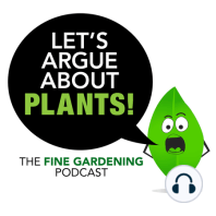 Episode: 113 Big and Bold Plants
