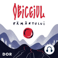 Episodul #4: Podul: Artivismul Alinei Șerban