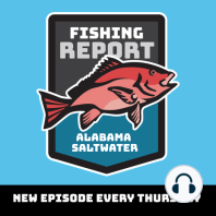 Dauphin Island, Gulf Shores and Orange Beach Fishing Reports for August 1-7, 2022