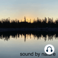 Episode 19: Ahjumawi Lava Springs State Park- Evening Beside Horr Pond