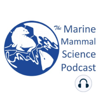 Wild marine mammals interacting with humans