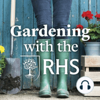 Episode 5: Spotlight on RHS Garden Hyde Hall, Grow Your Own tips, rose care and tackling weeds