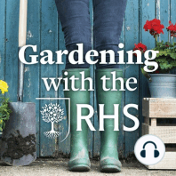 Episode 36: Allotment advice and inspiration, and great high-summer flowering plants to try in your garden