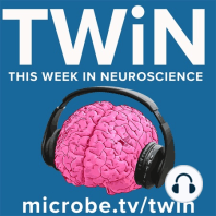 TWiN 5: Anosmia and COVID-19