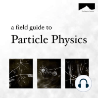 The Guide to the Field Guide to Particle Physics