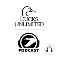 Ep. 18 – Dr. Brasher Discusses Research Performed on Paired Drake Mallards Versus Unpaired Drake Mallards