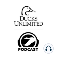 Ep. 27 – Introducing a Science-Based Approach to Duck Migration Forecasts (Part 2 of 2)