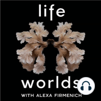 [Full Interview] The Inner Lives of Fungi - with Giuliana Furci