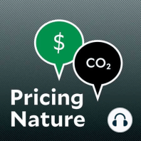 Bonus Episode: A Man, A Plan, A Canal, Carbon Price