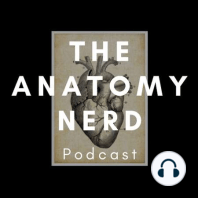 Episode 0 - A Nerdy Introduction