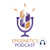 Aging and Epigenetics (Peter Tessarz)