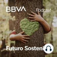 Las soluciones financieras sostenibles de BBVA