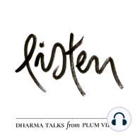 Introduction to Listen by Br Phap Bieu