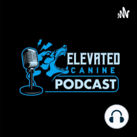 Episode 11 | Police and Pet Dog Training with Justin Rigney