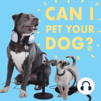 CIPYD 124: Ben Harrison and the Dandie Dinmont Terrier