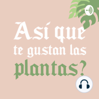 Ep. 14 - Plantas en la ciudad: Lima ??️