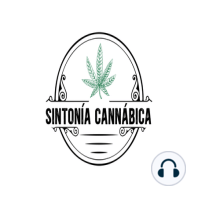 Episodio 1 - Qué es la cannabis? (Daniel Ramirez, Genitallica)