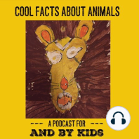 Kids Listen Activity Podcast: Extinct Animals!